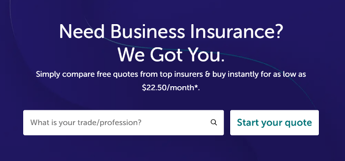 Biberk insurance review for small business